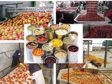 تحریم را ول کنید، خودتحریمی را بچسبید