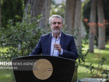 دولت هیچ مانعی برای واردات خودرو ندارد