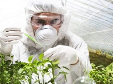 طراحی اولین اپلیکیشن جامع تخصصی گیاه پزشکی