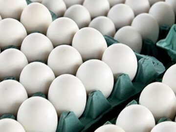 فارس من| چرا قیمت تخم مرغ بالا رفت