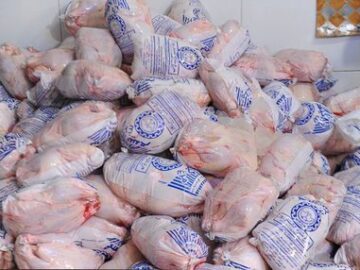 مرغ مازاد خریداری شود/ راه‌اندازی سامانه هوشمند معاملات مرغ