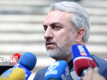 وزیر صمت: اکنون برنامهای برای واردات خودروهای فرانسوی نداریم