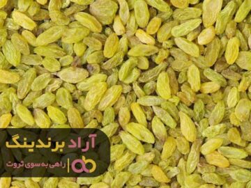 کشمش موجب شد تا رویاهایم را زندگی کنم