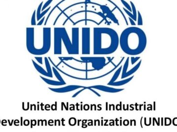 یونیدو: اقدامات دولت گذشته ایران، ساختار تولید صنعتی را تضعیف کرد