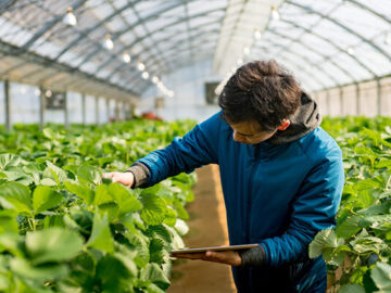 یک تیر و دو نشان با جذب مهندسان کشاورزی/ ۲۱۷ فارغ‌التحصیل بیکار به‌کارگیری شدند