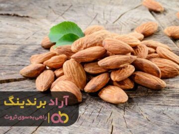 به مسیر بیشتر از هدف دقت کردم و ثروتمند شدم