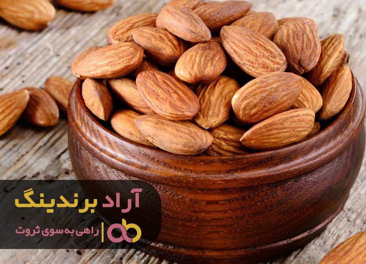 به مسیر بیشتر از هدف دقت کردم و ثروتمند شدم
