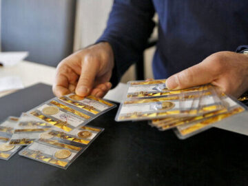 بیشترین افزایش بها در قطعات کوچکتر سکه / نیم سکه با ۱۰ میلیون تومان رکورد زد