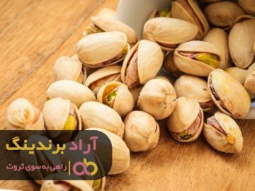 تبل ثروتم را به صدا درآوردم