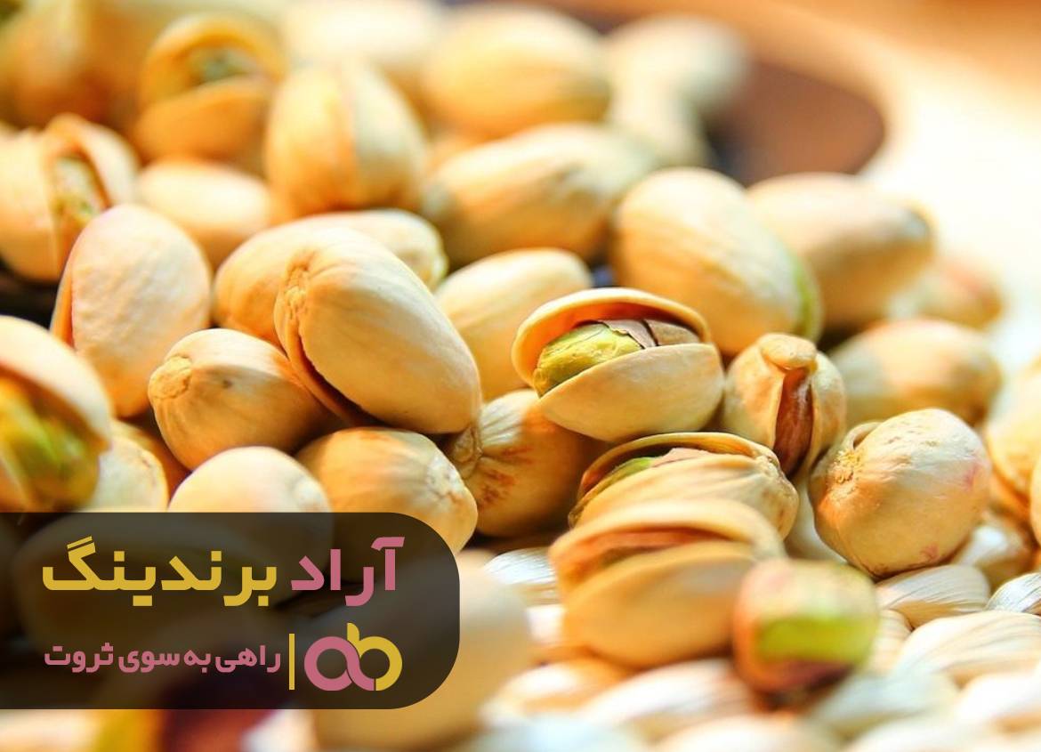 تبل ثروتم را به صدا درآوردم