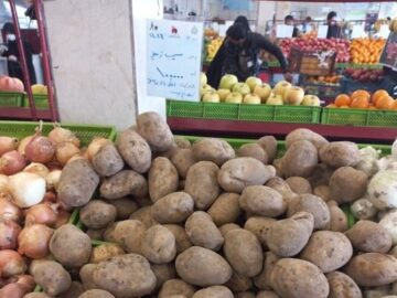 تعرفه صادراتی ۳ محصول کشاورزی موقتی است