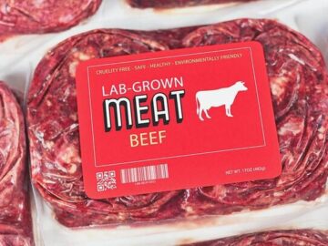 تلاش برای حذف یک سوم گازهای گلخانه ای با تولید گوشت مصنوعی