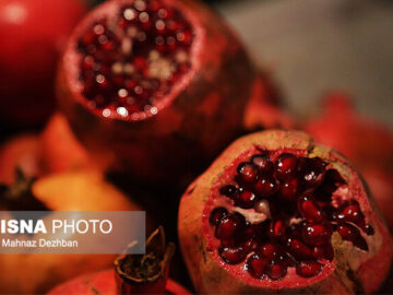 ذخیره سازی میوه برای شب یلدا/ هندوانه و انار گران نمی شود