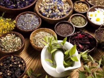 سطح زیر کشت گیاهان دارویی افزایش می یابد