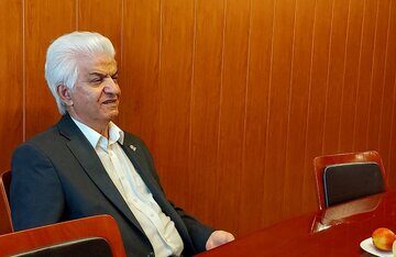 شناسایی متهم اصلی افزایش قیمت خودرو/ نجفی‌منش: اصلا قیمت‌ها عجیب بالا نرفته است