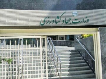 عباسی: وزارت جهاد کشاورزی را تنها مسئول اجرای الگوی کشت می‌دانیم