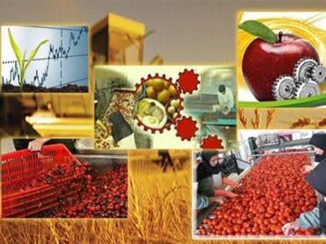 غفلت از صنایع تبدیلی در استان سمنان | گردشگری هم می‌تواند فرآوری شود