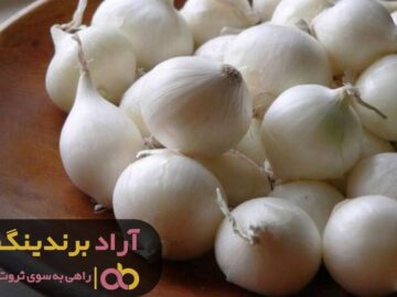 قدم های موفقیت را برداشتم و میلیاردر شدم