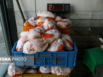 قیمت الاکلنگی مرغ!