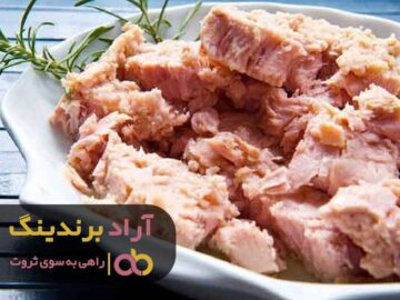 ماهی را از دریای ثروت صید کردم