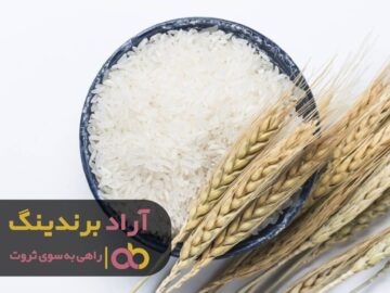 من لایق بهترین ها هستم و آن ها به سمت من می آیند!