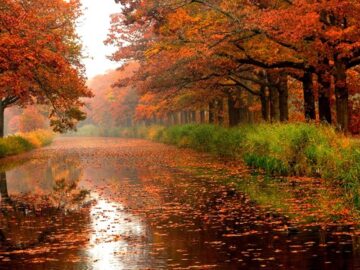 ورود سامانه بارشی به کشور/ هشدار‌‌ هواشناسی به کشاورزان و رانندگان‌