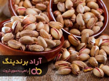 چگونه به اولین میلیونر در خانواده تبدیل شویم؟