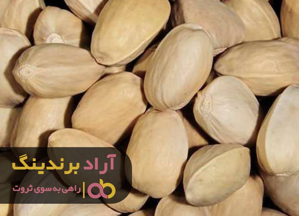 چگونه به اولین میلیونر در خانواده تبدیل شویم؟