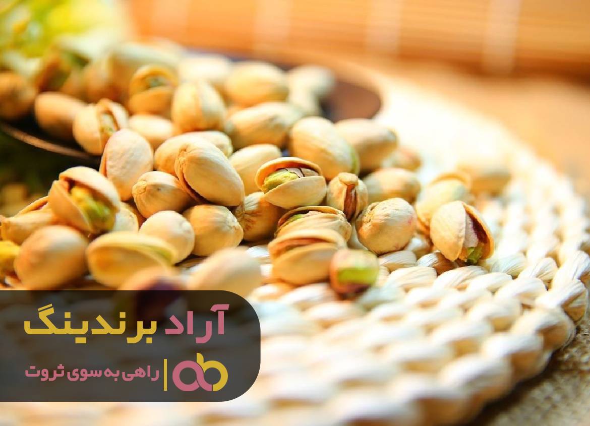 چگونه به اولین میلیونر در خانواده تبدیل شویم؟