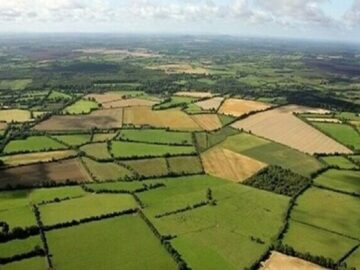 اجرای الگوی کشت بر روی کاغذ فایده‌ای ندارد/ فقر سرمایه‌گذار در گلستان