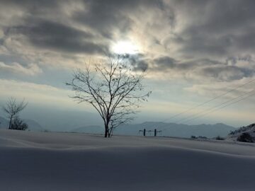 ارتفاع برف در مناطقی از کشور به ۵ متر رسید/ ۱۱ درصد مساحت ایران پوشیده از برف است