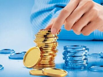 ایمیدرو در طرح‌های صنعتی ایلام سرمایه گذاری کند