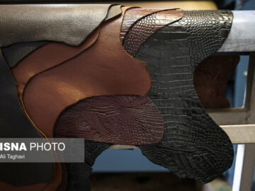 برای رقابت با ترکیه، نوسازی صنایع چرم باید تسریع شود