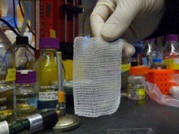 زخم‌پوش نوین آنتی‌باکتریال با گیاه آویشن ساخته شد