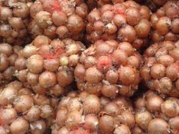 عوارض پیاز افزایش یافت