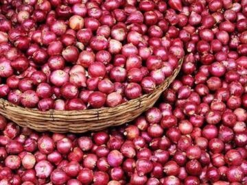 عوارض ۱۰۰ درصدی صادرات پیاز ابلاغ شد