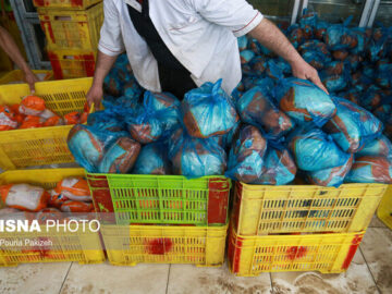 مرغ در سراشیبی قیمت