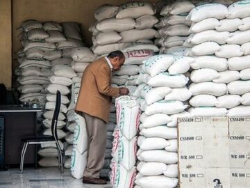 نسخه‌نویسی الکترونیکی مانع از فروش سم تقلبی خواهد شد/ رونمایی از برنج بدون سم در کشور