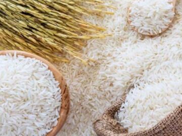 واردات برنج آزاد شد‌