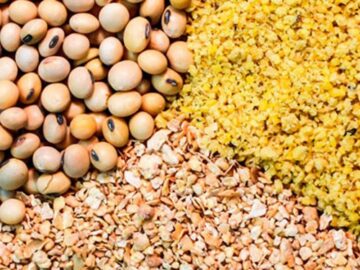 پشت پرده عرضه‌ نکردن نهاده به سامانه بازارگاه از سوی برخی واردکنندگان