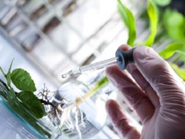 کارخانه گیاهان دارویی الیگودرز وارد فاز اجرایی شد