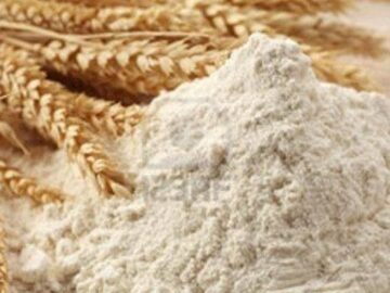 گم شدن روزانه ۵۰ میلیون نان لواش در نانوایی ها