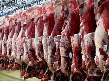 گوشت گرم گوسفندی وارداتی  از هفته آینده عرضه بازار می شود