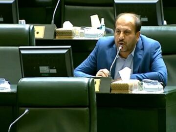 انتقاد «نوروزی» از گرانی گوشت و نوسانات ارز