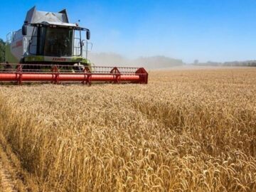 ایران استوار؛ ۴۴ سال افتخار| ‌جایگاه تک رقمی ایران در تولید ۲۰ محصول کشاورزی دنیا