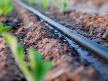 حذف خطاهای آبیاری فضای سبز خانگی و شهری با سیستم‌های هوشمند مجهز به سنسور