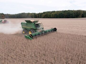 سقوط درآمد کشاورزی آمریکا از اوج تاریخی