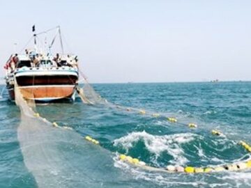 صید ترال با کشتی های ایرانی انجام خواهد شد