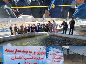 مزرعه نیمه مدار بسته پرورش ماهیان سردآبی زاهدان به بهره‌برداری رسید