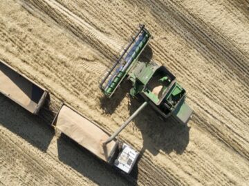 چین بزرگ‌ترین واردکننده مواد غذایی روسیه شد